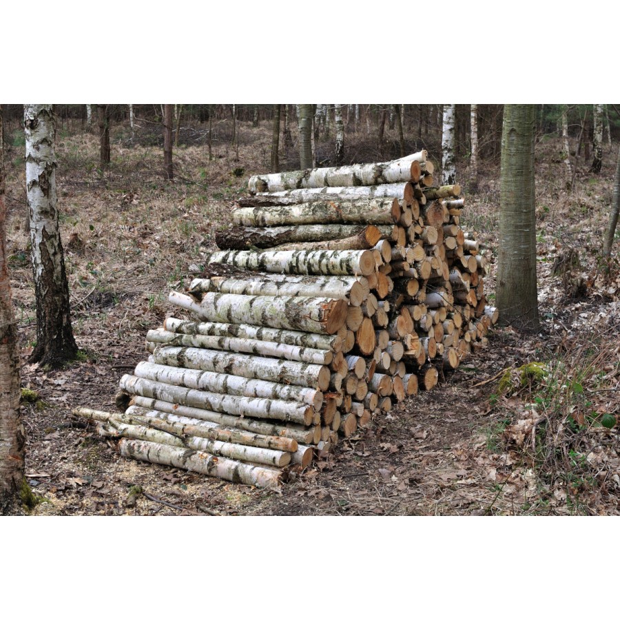 1 stère de bois (bouleau) 50 cm livré dans un rayon de 40 km de LemotteBeuvron