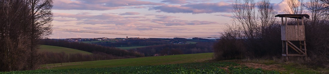 AMÉNAGEMENT DU TERRITOIRE