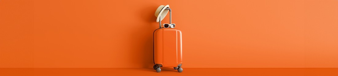 Valises