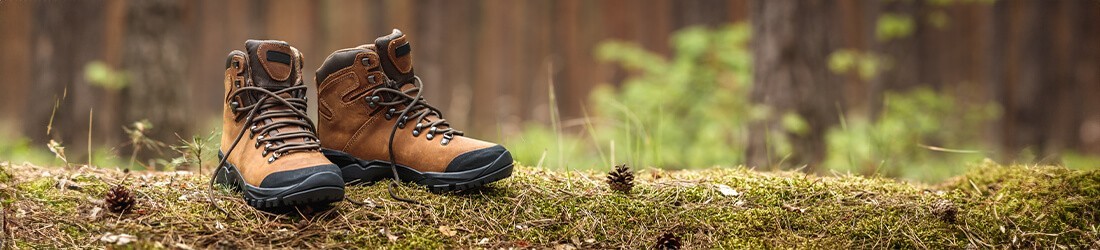 Chaussures de randonnée