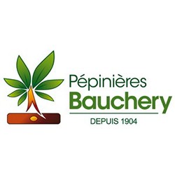 PÉPINIÈRES BAUCHERY